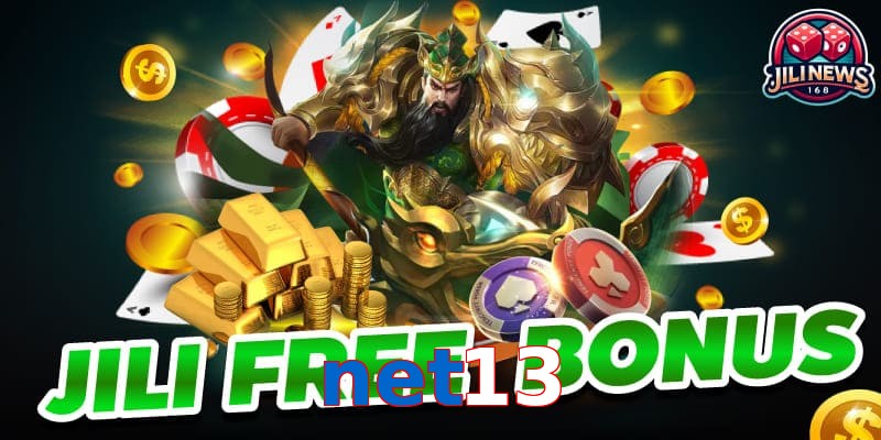 net13