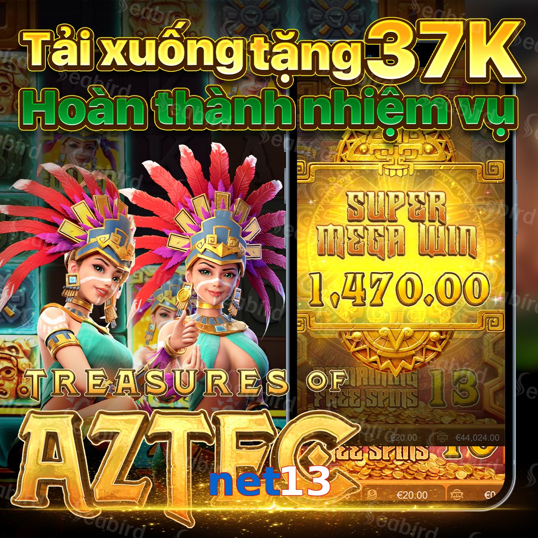 net13