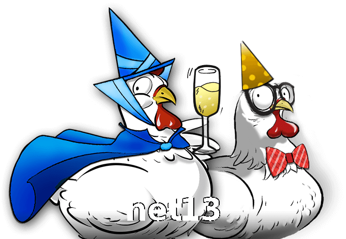 net13
