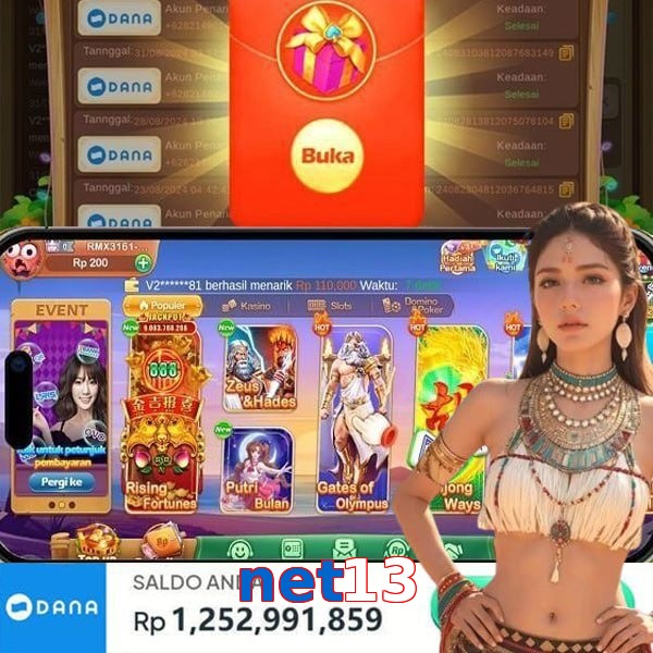 net13