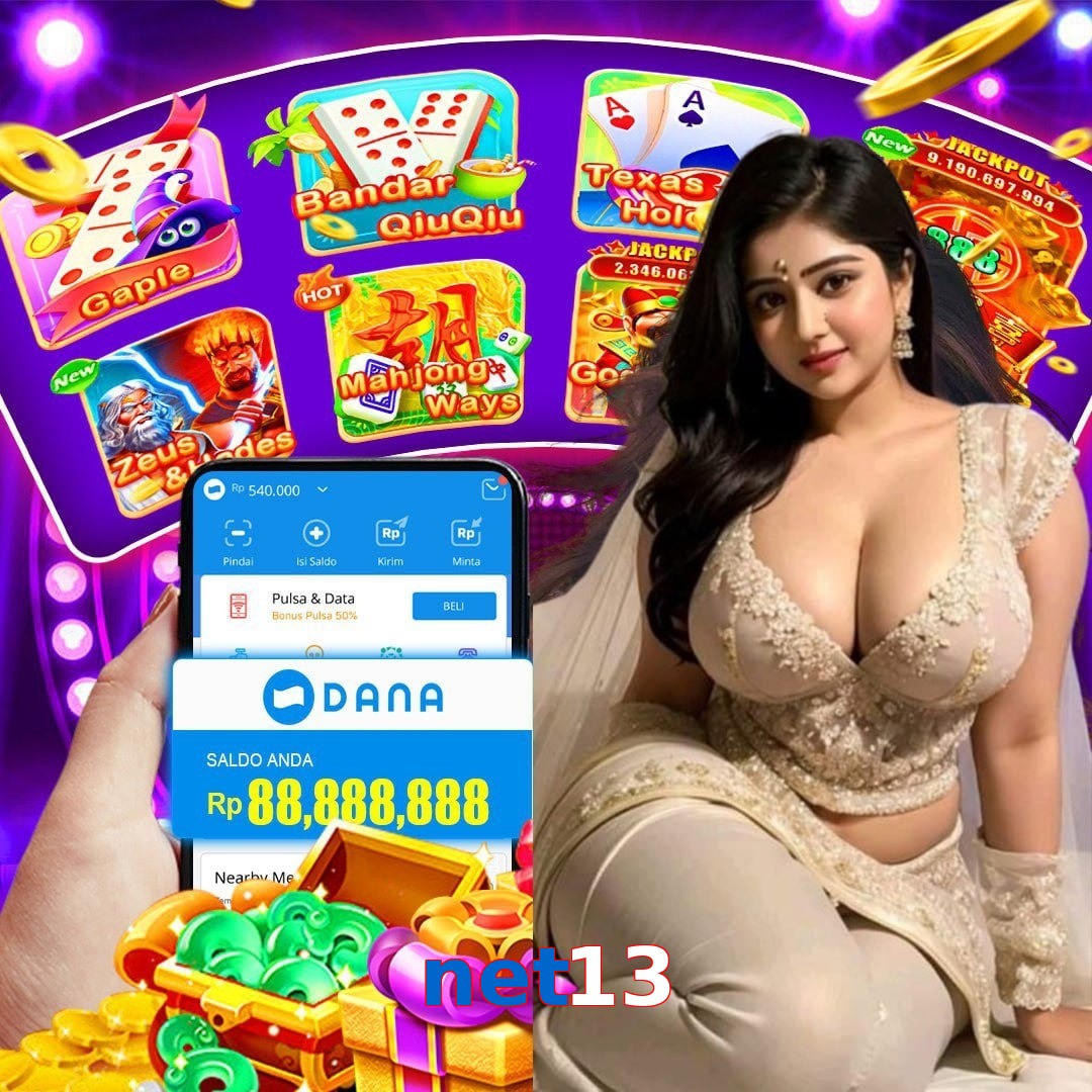 net13