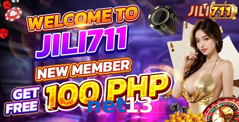 net13