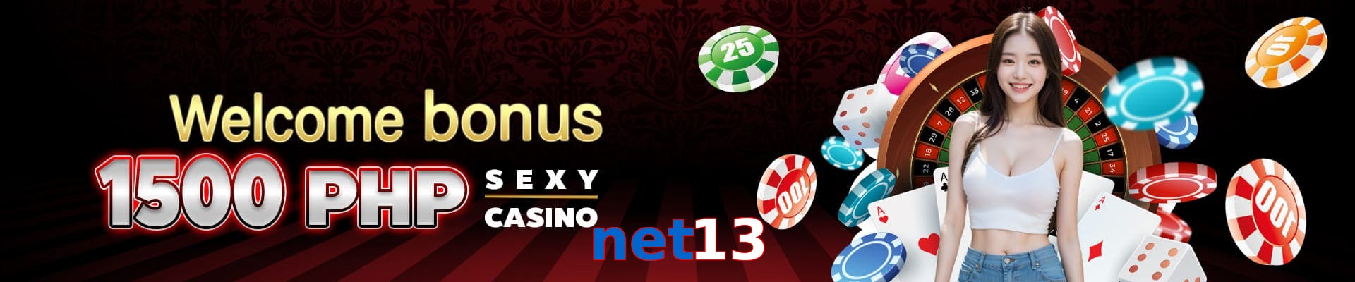 net13