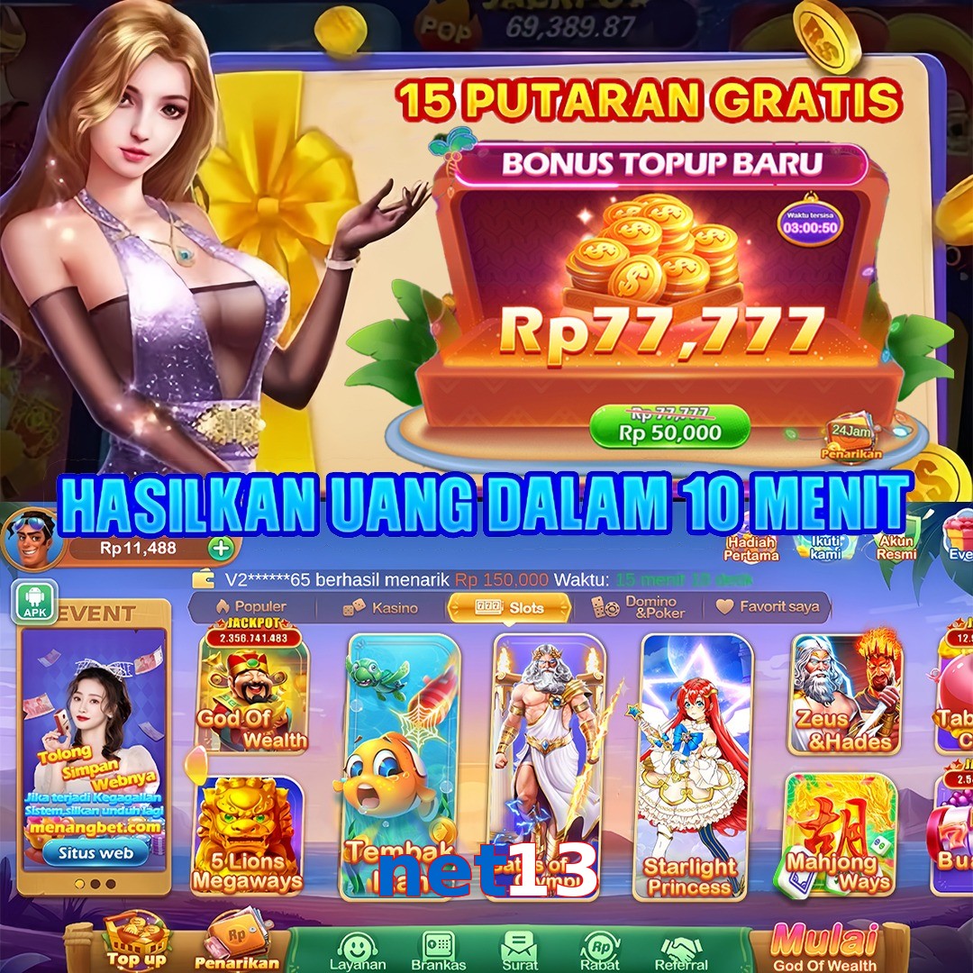 net13