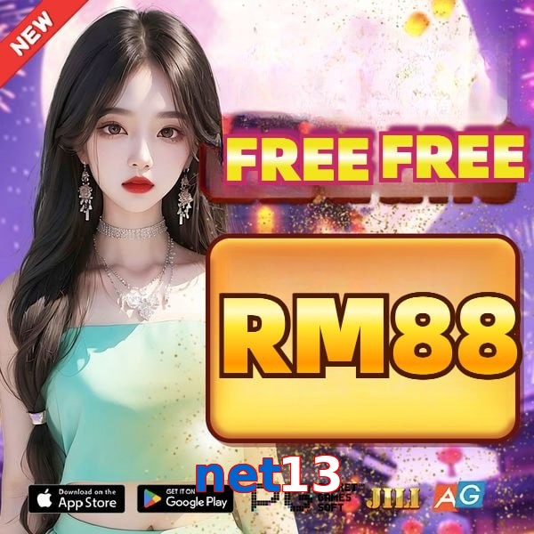 net13