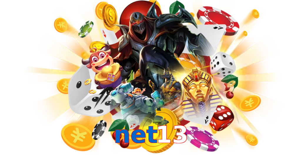 net13