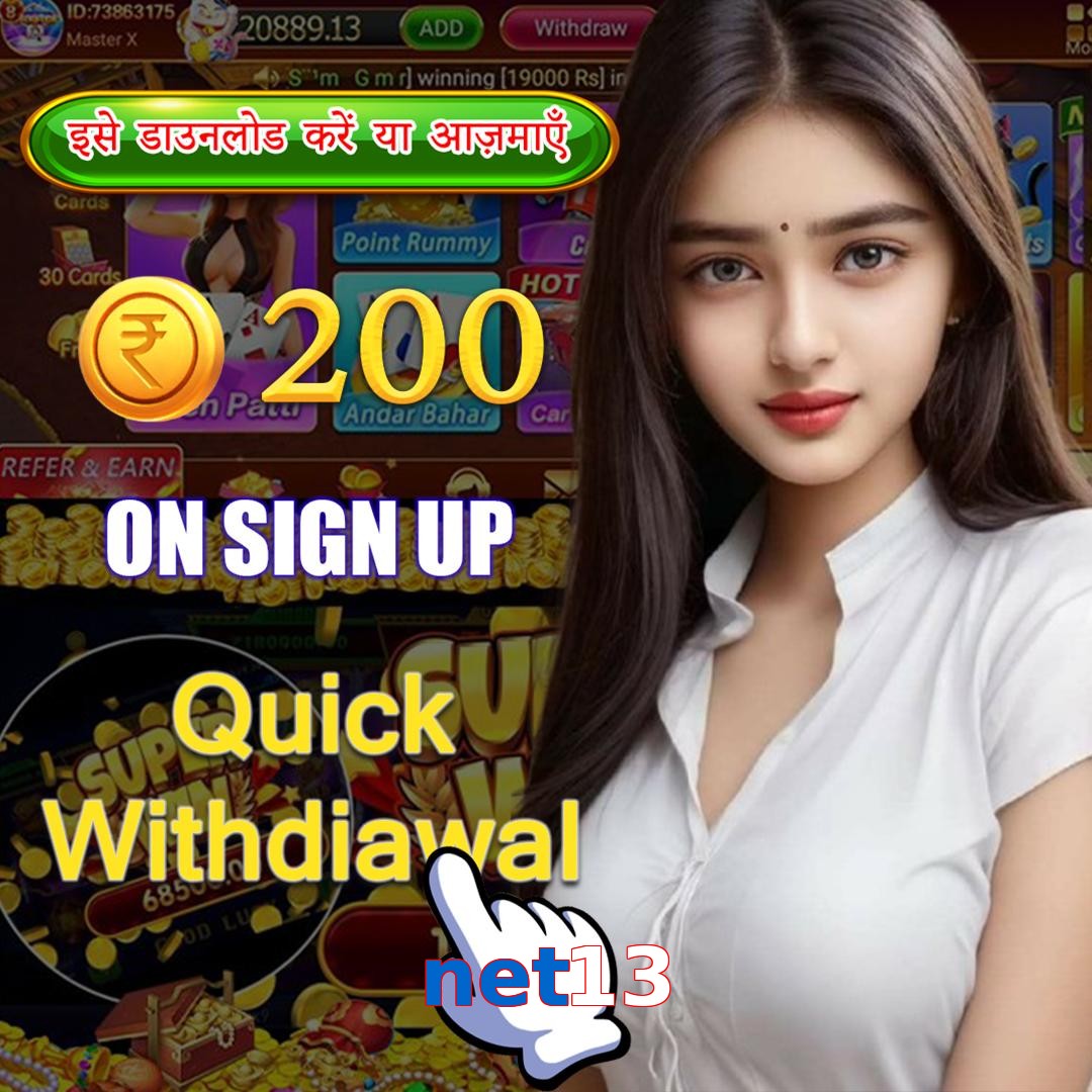 net13