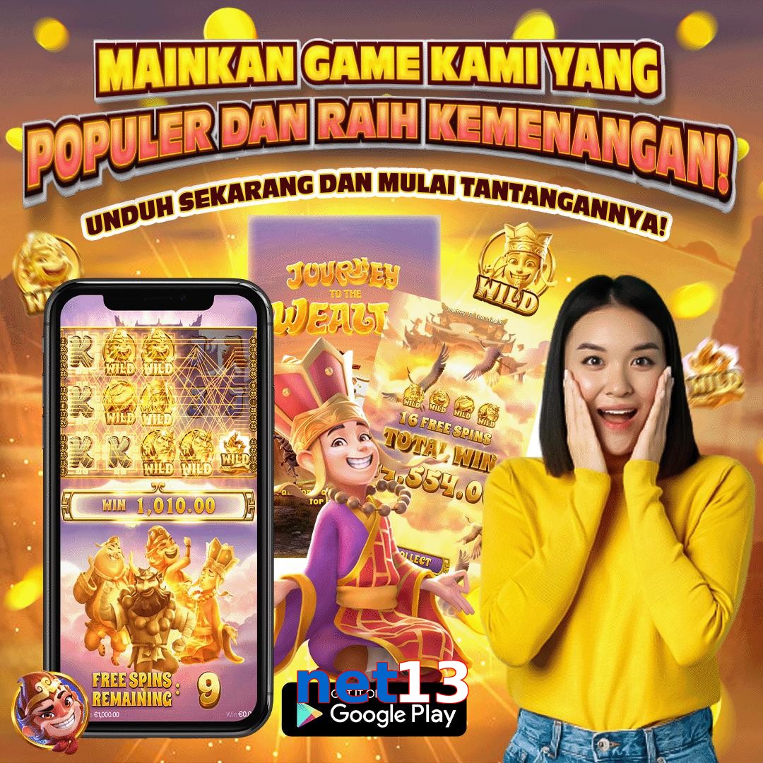 net13