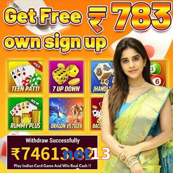 net13
