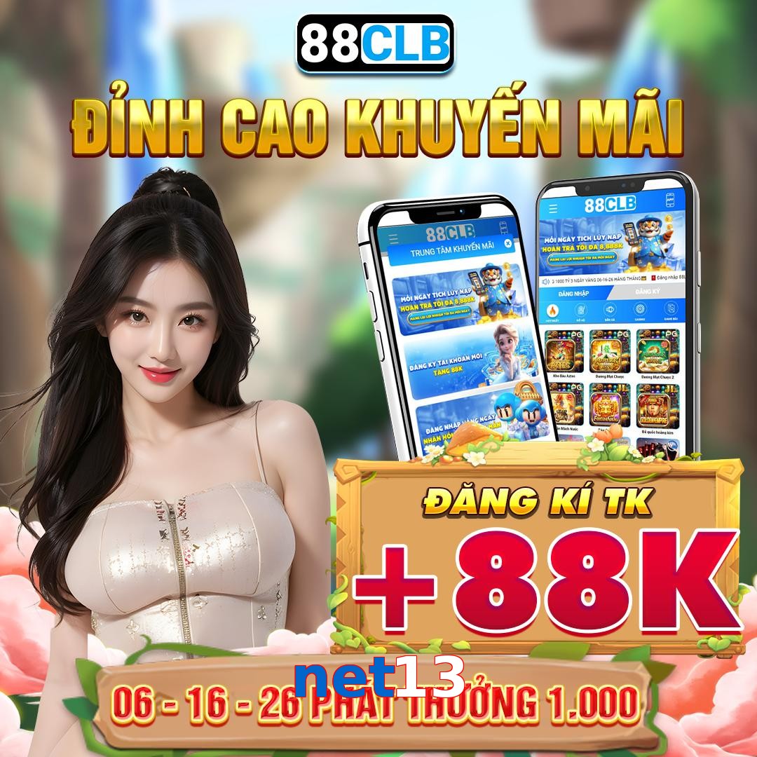 net13
