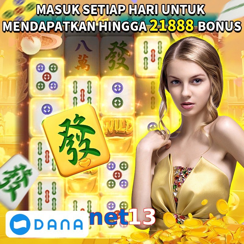 net13