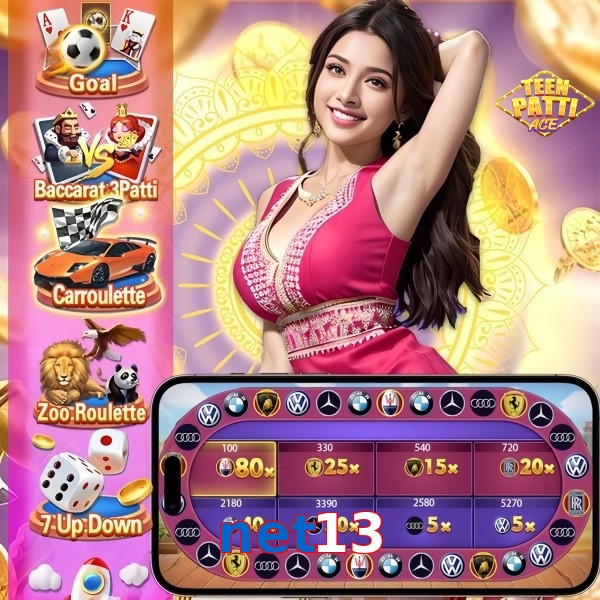 net13