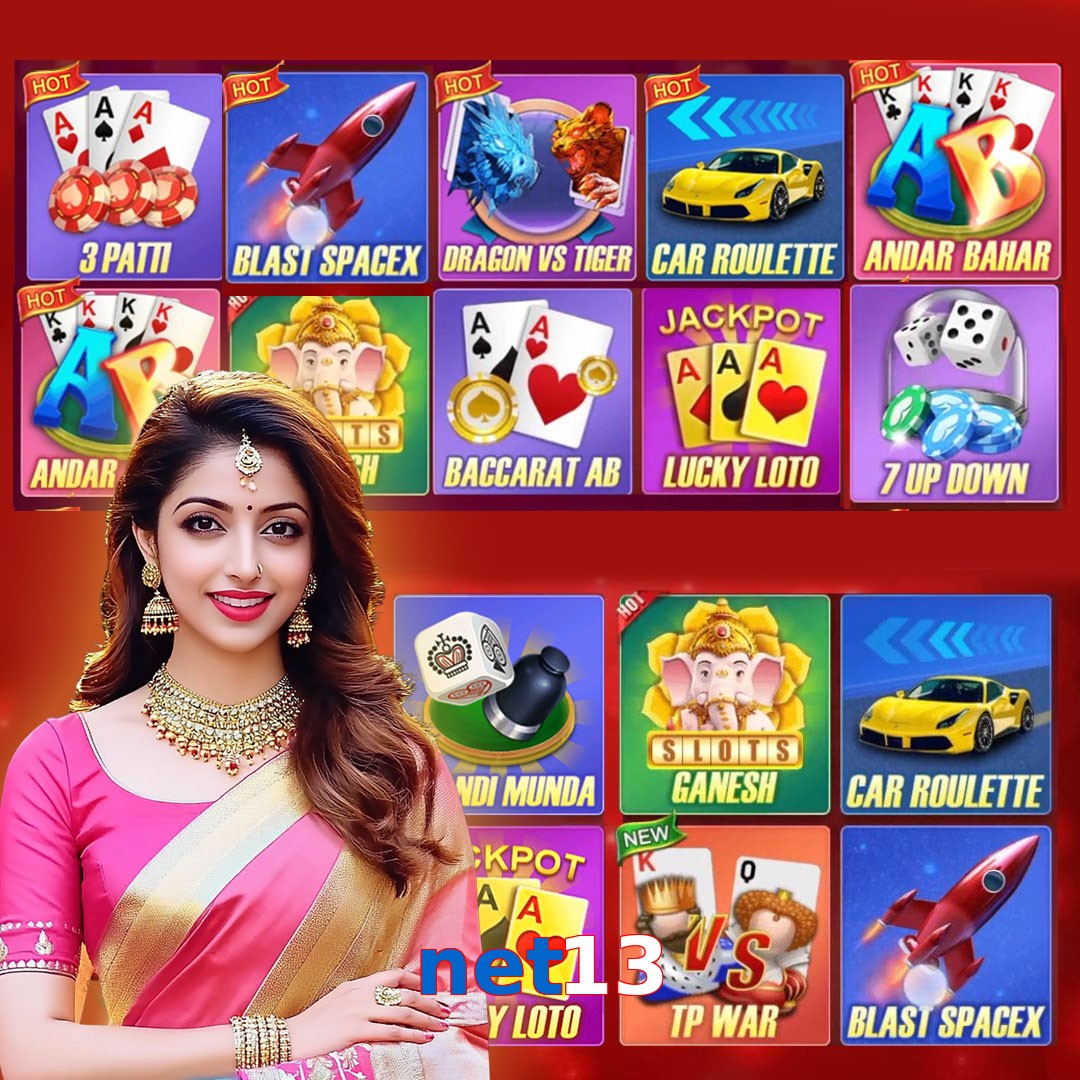 net13
