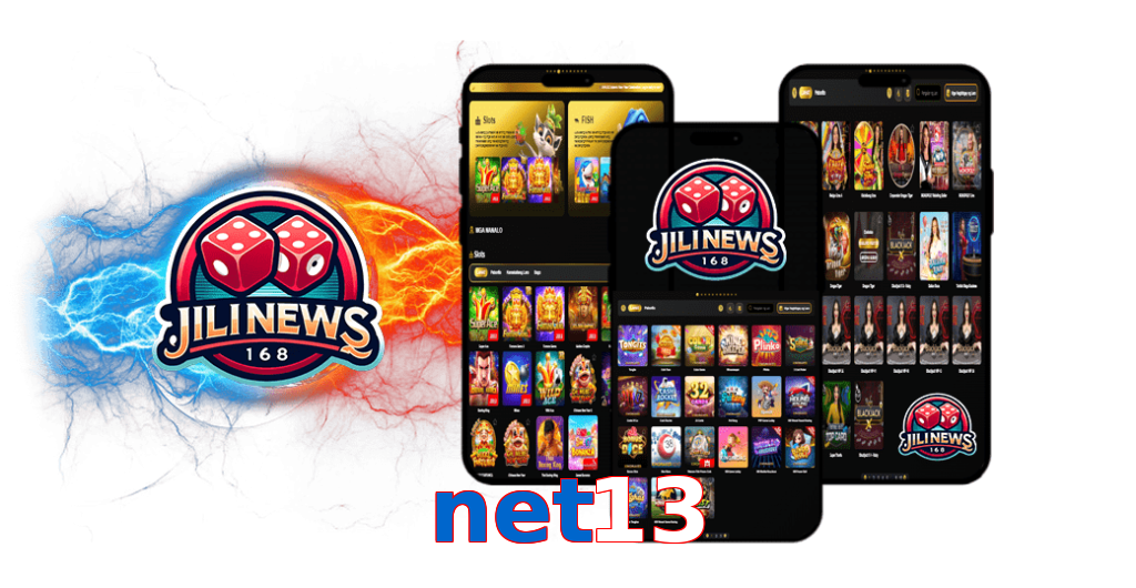 net13