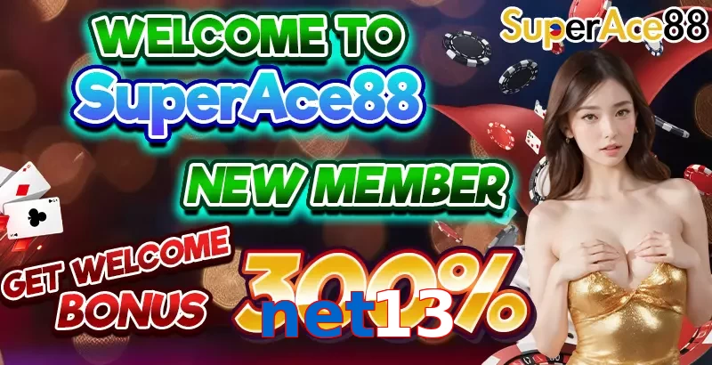 net13