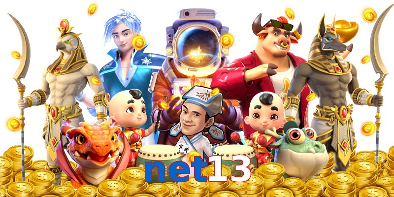 net13