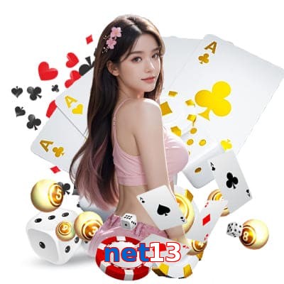 net13