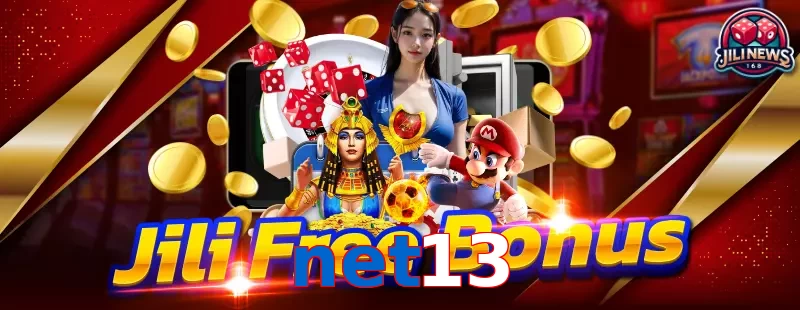 net13