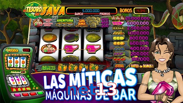 net13