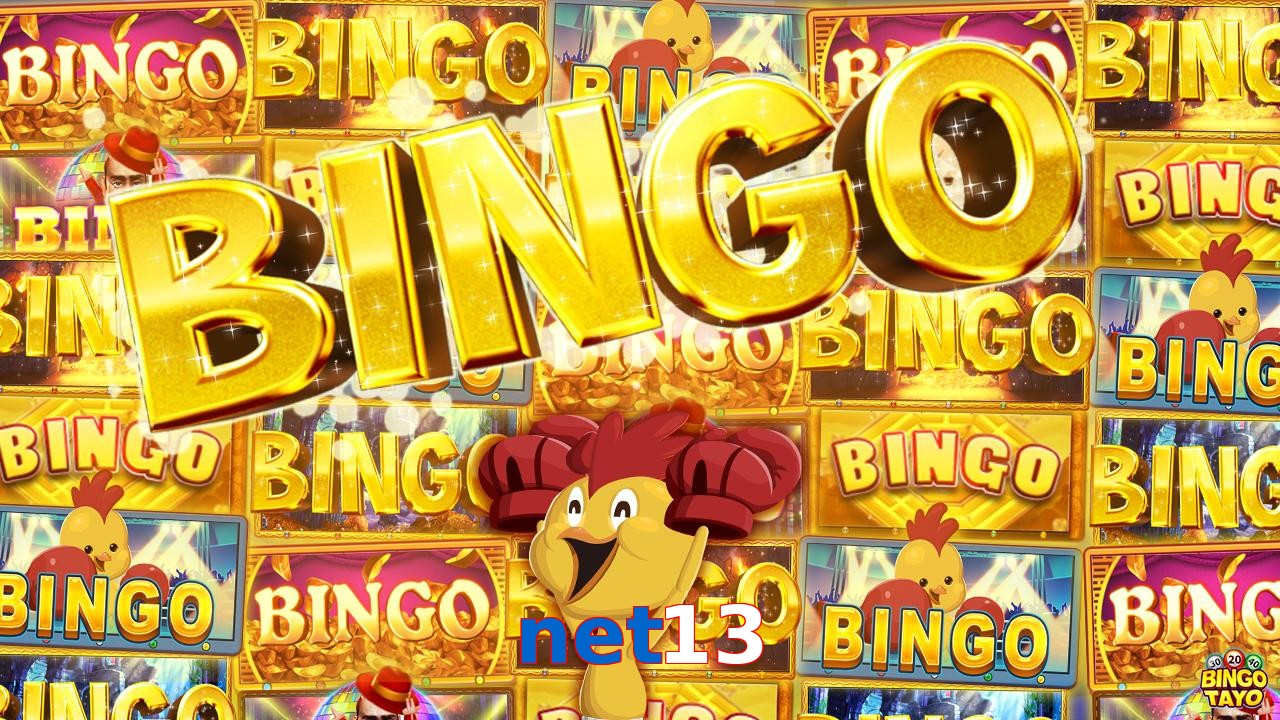 net13