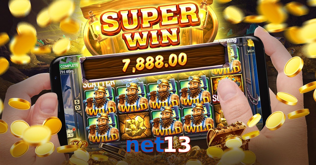 net13