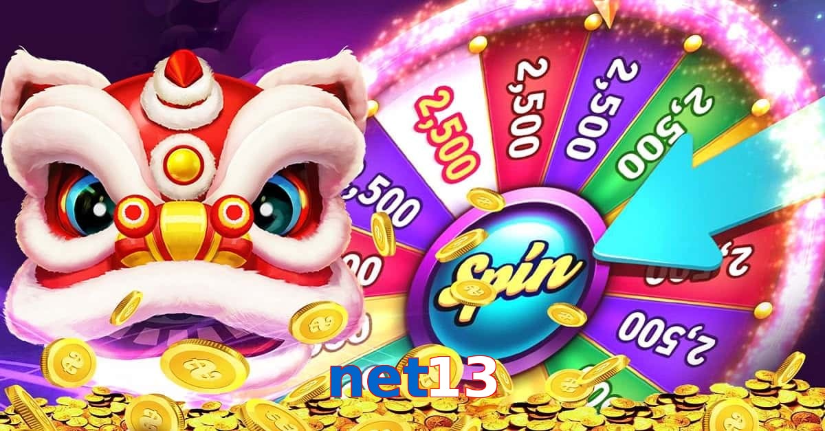 net13