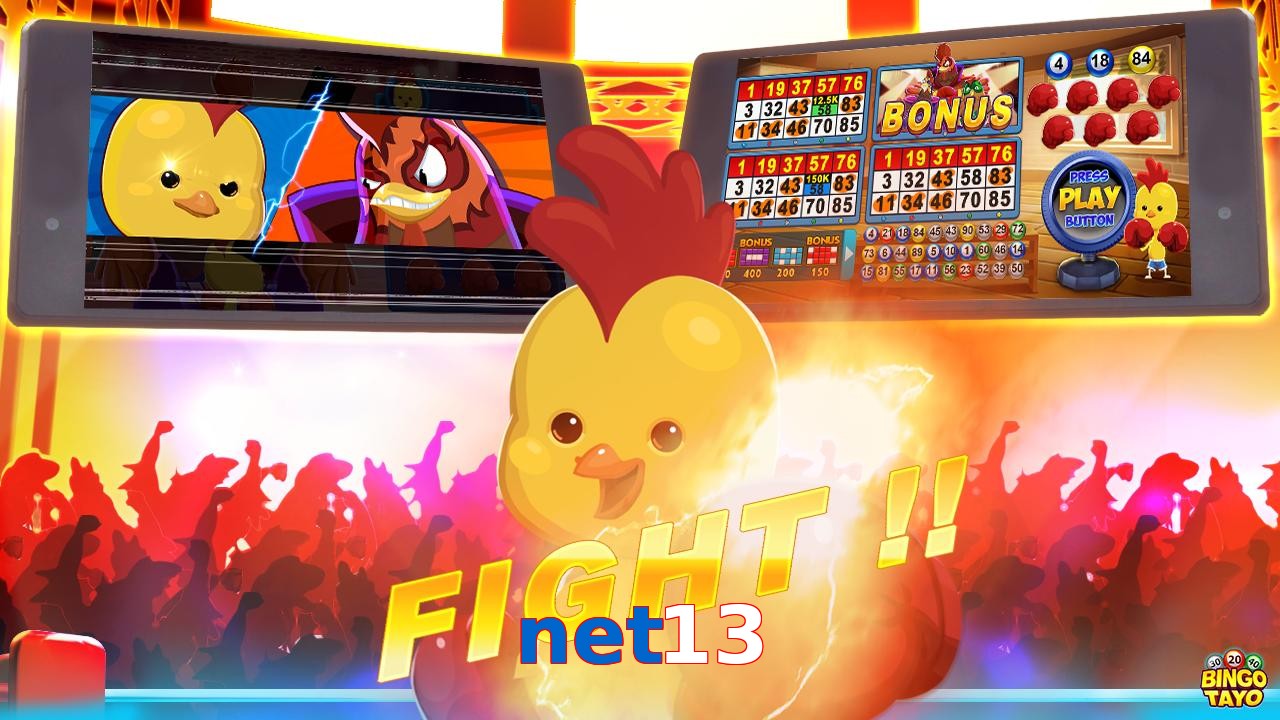 net13