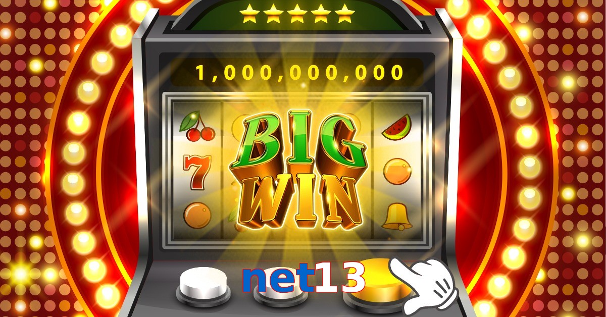 net13