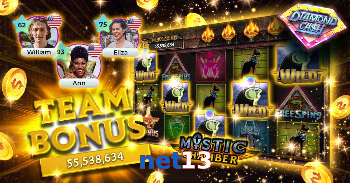 net13