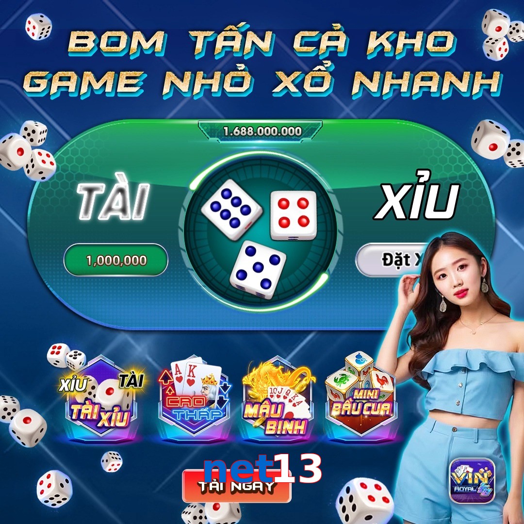 net13