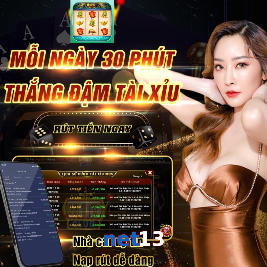 net13