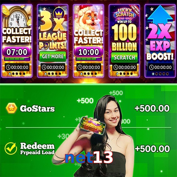 net13