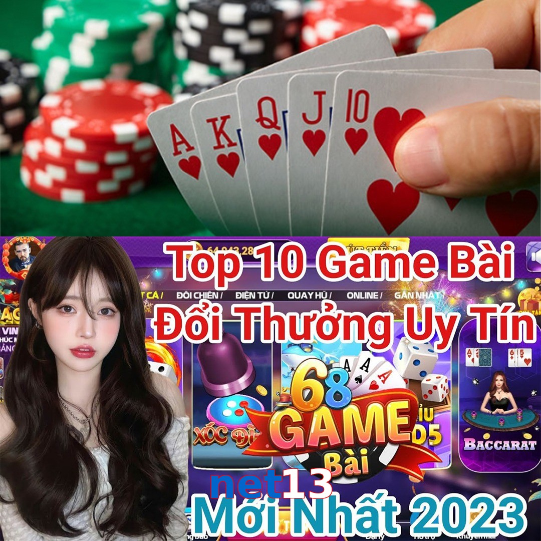 net13