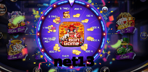 net13