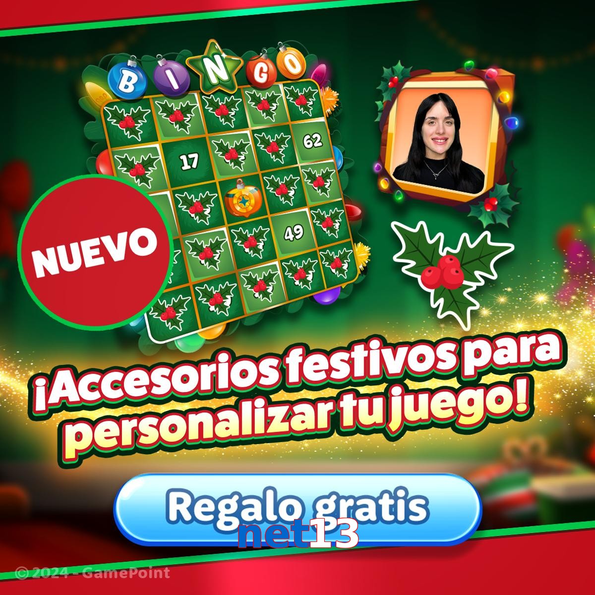 net13