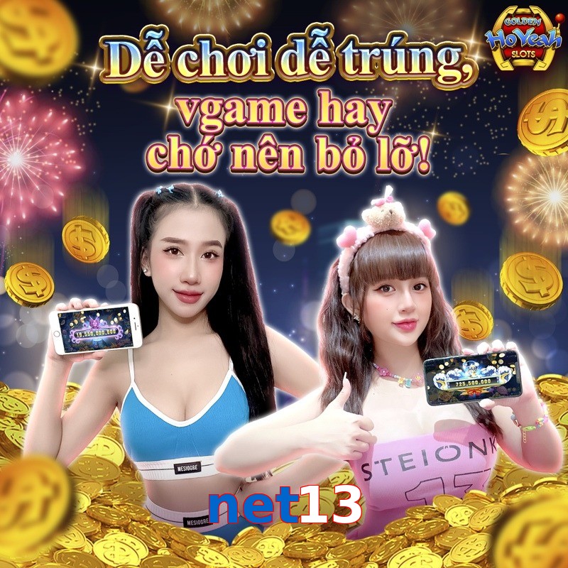 net13