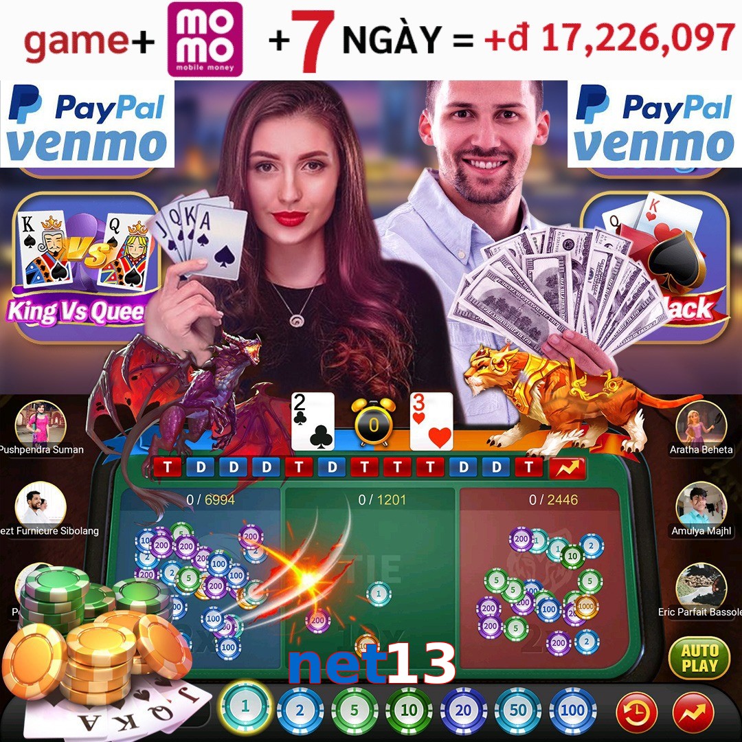 net13