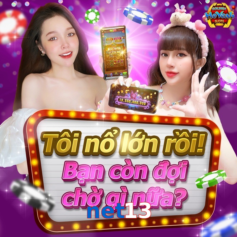 net13