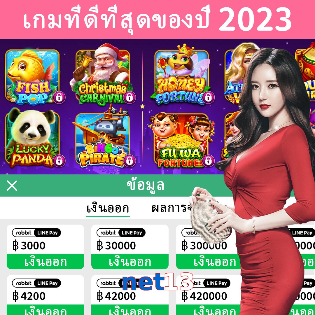 net13