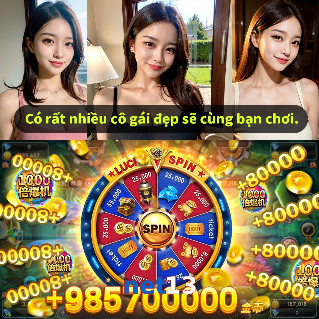 net13