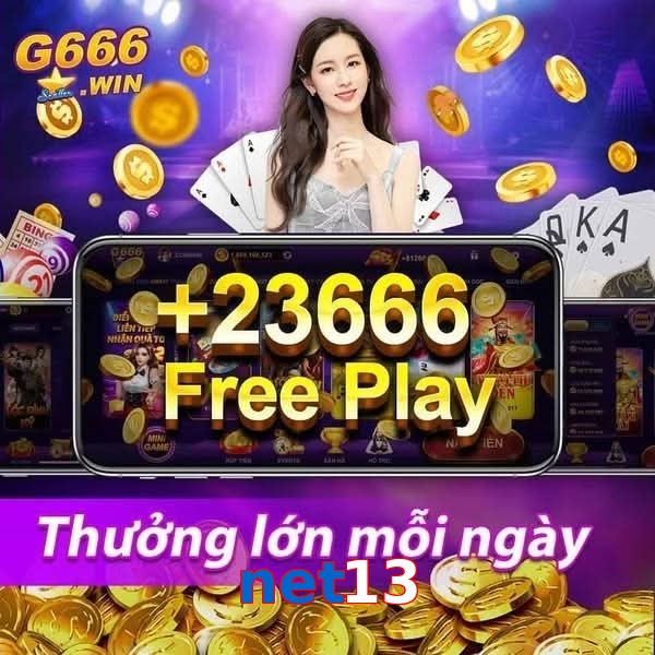 net13