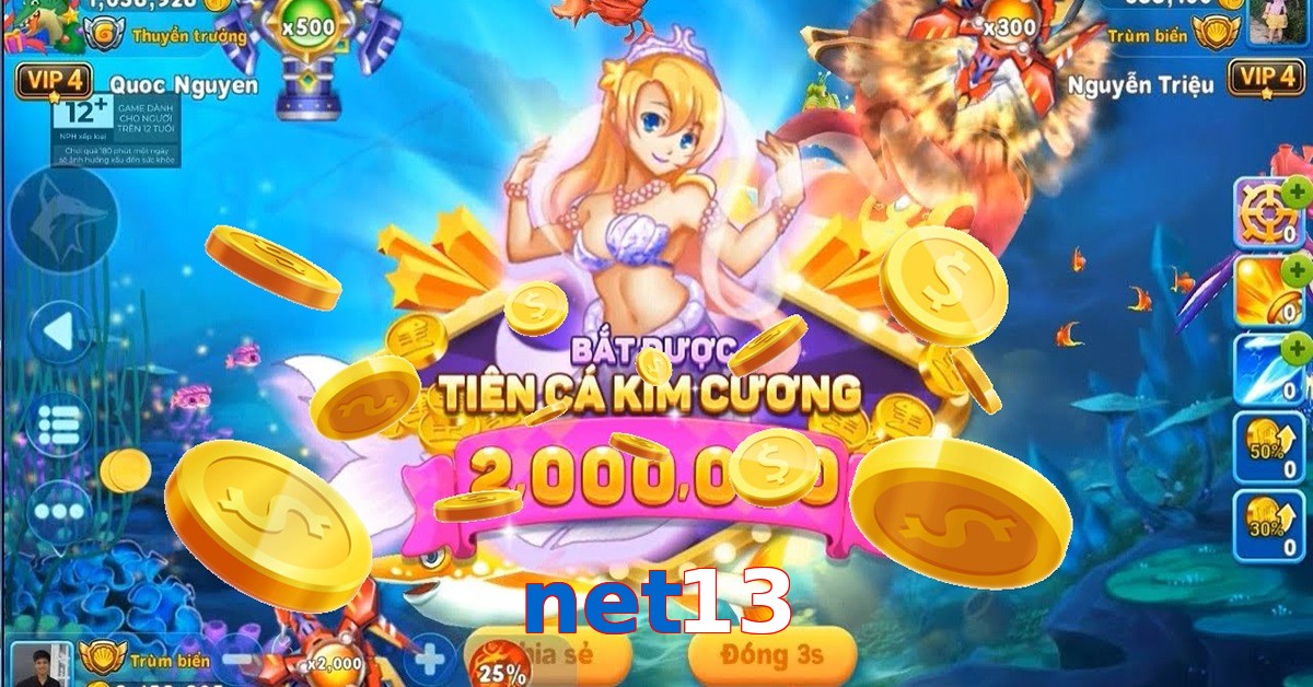 net13