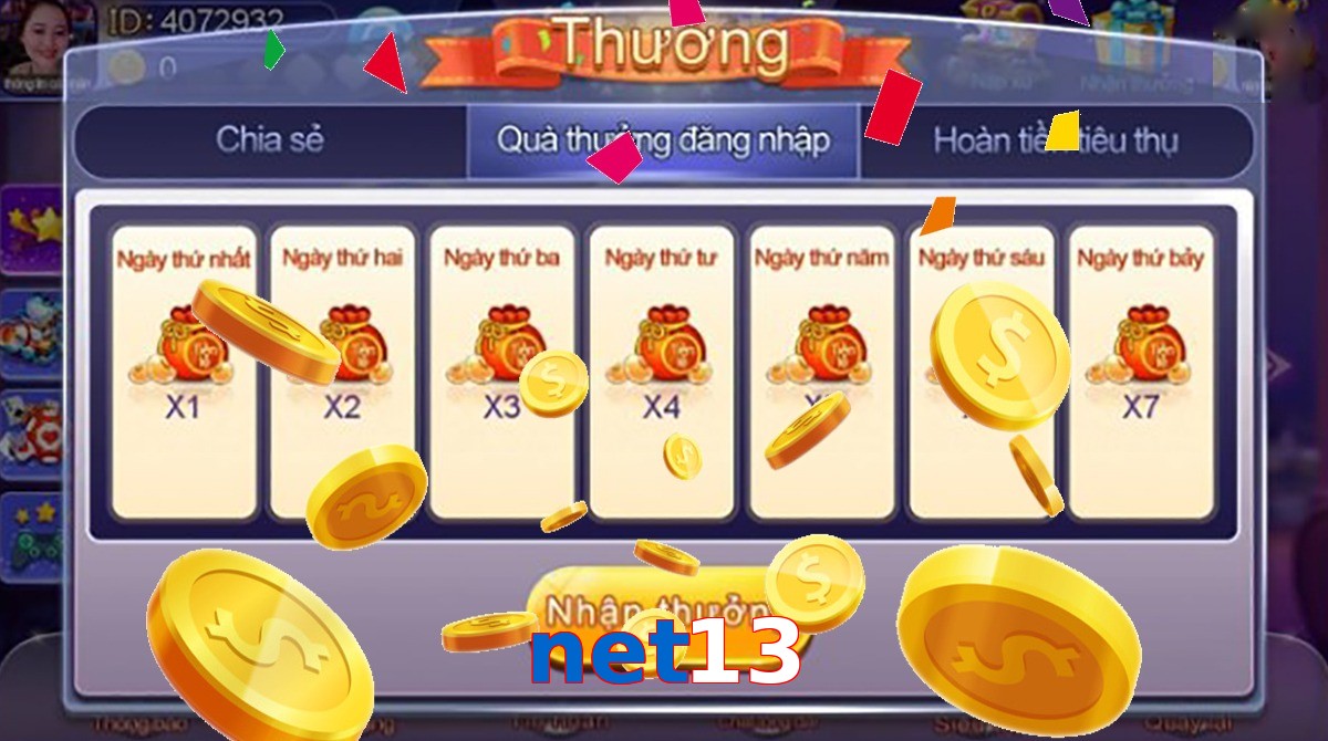 net13
