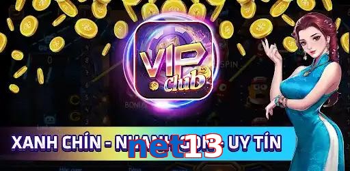 net13