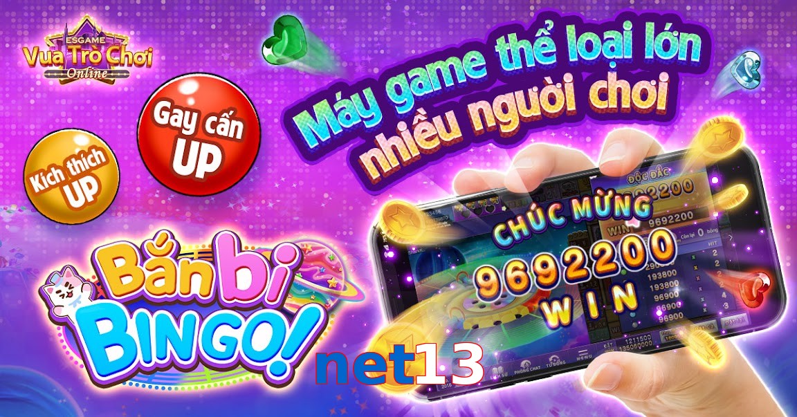 net13