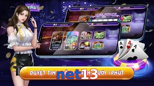 net13