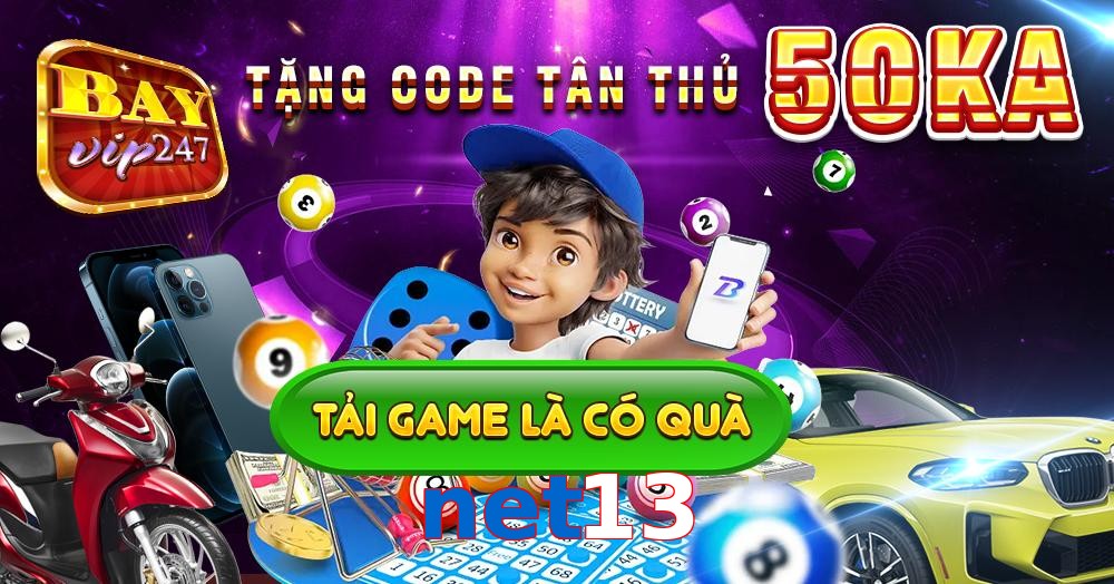 net13