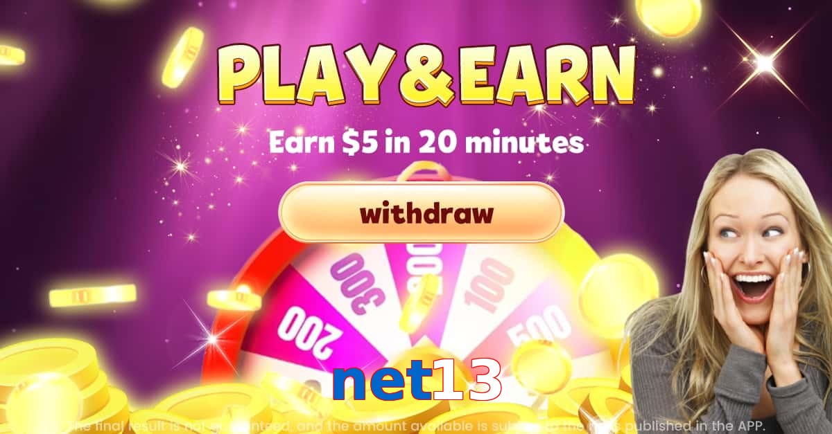 net13