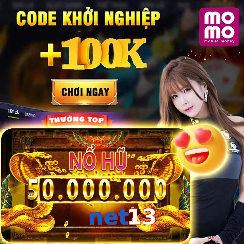 net13