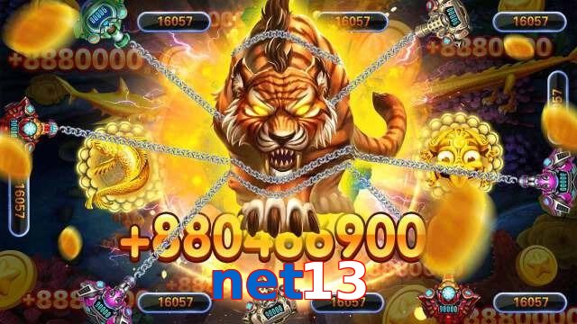 net13